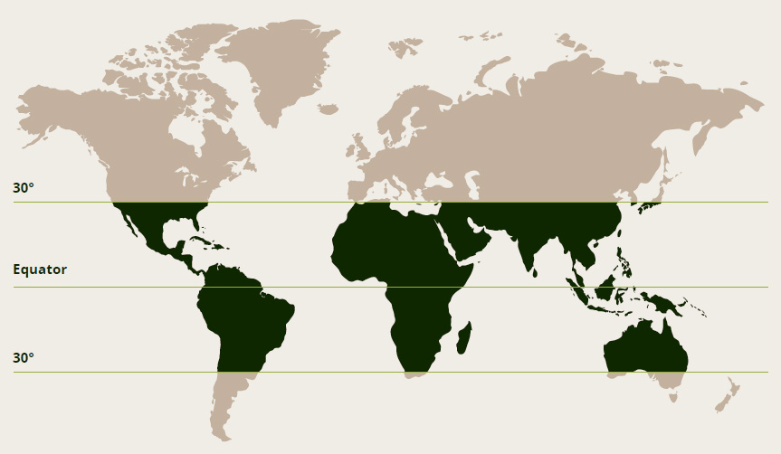 Export Countries